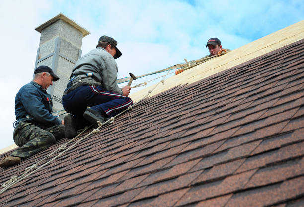 Best Roof Gutter Cleaning  in Rinna, VA